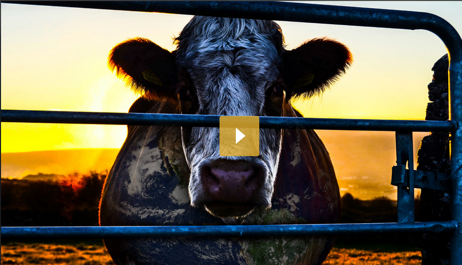 Cowspiracy may be the most important film made to inspire saving the planet.