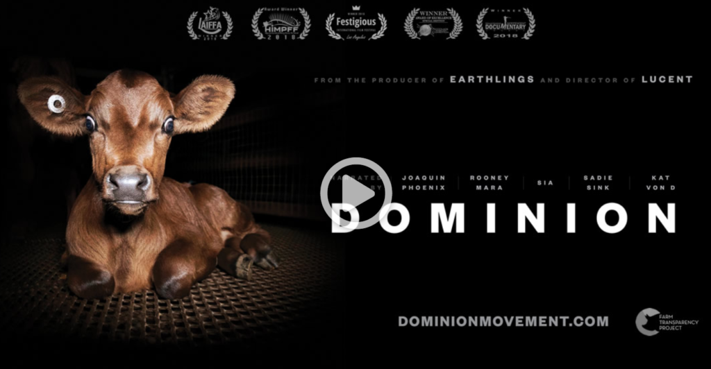 Dominion uses drones, hidden and handheld cameras to expose the dark underbelly of modern animal agriculture