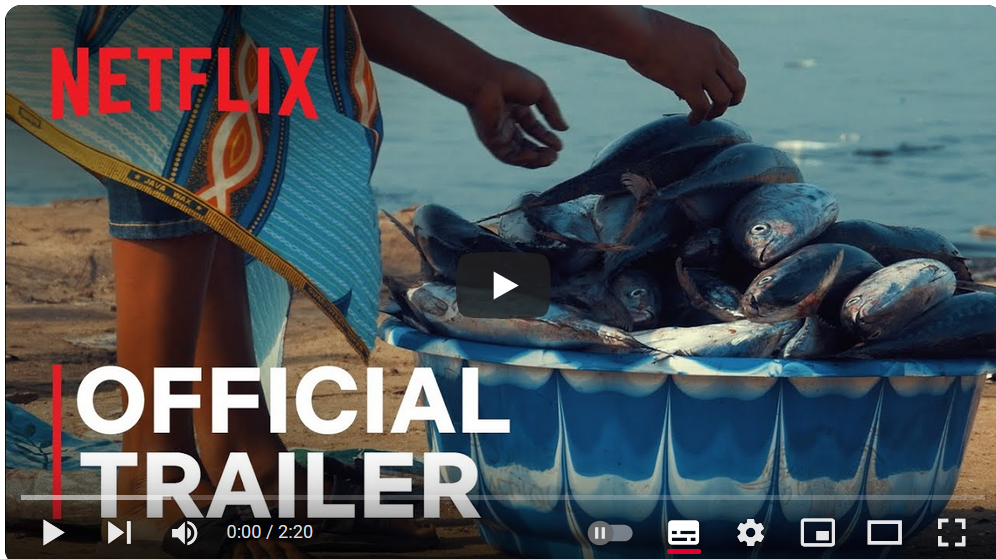 Seaspiracy | Official Trailer | Netflix